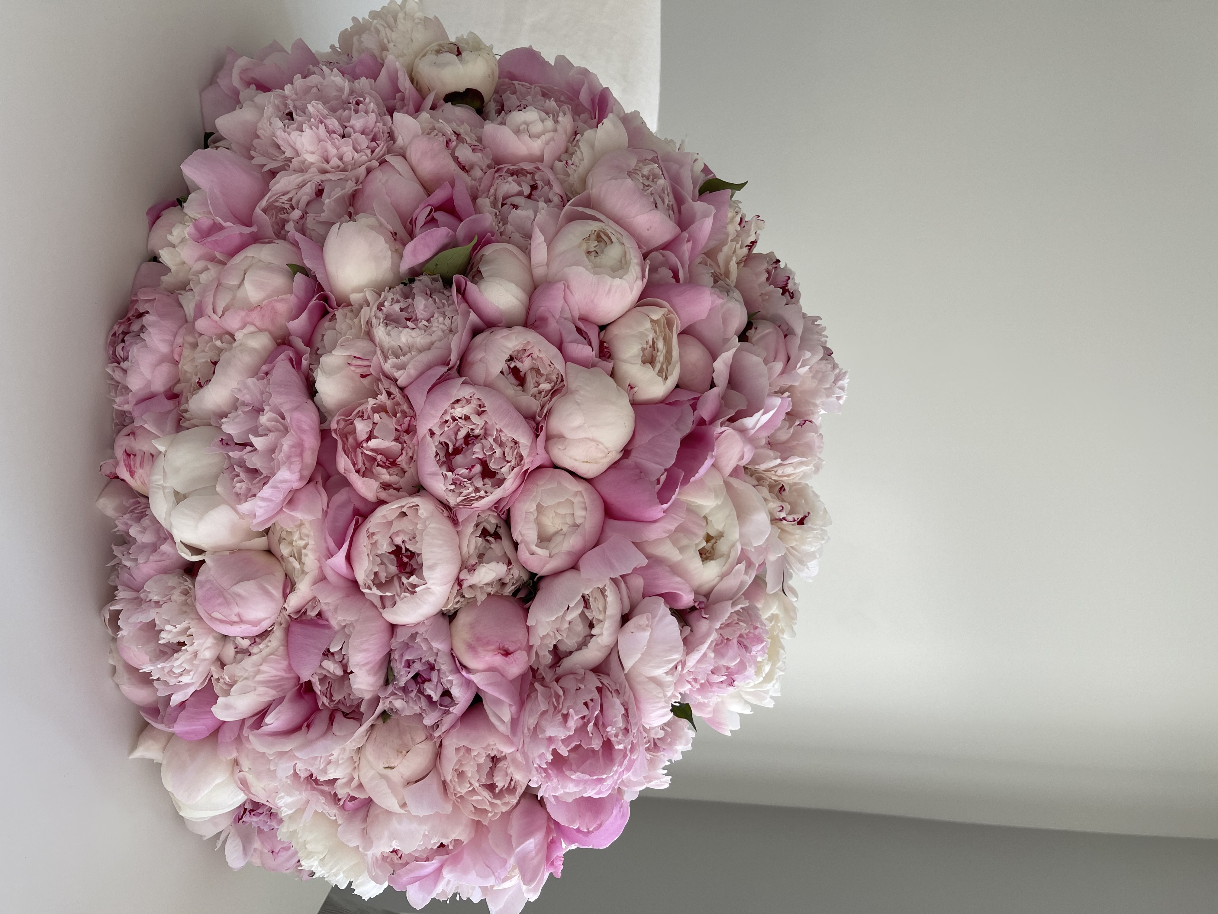 Flower Image