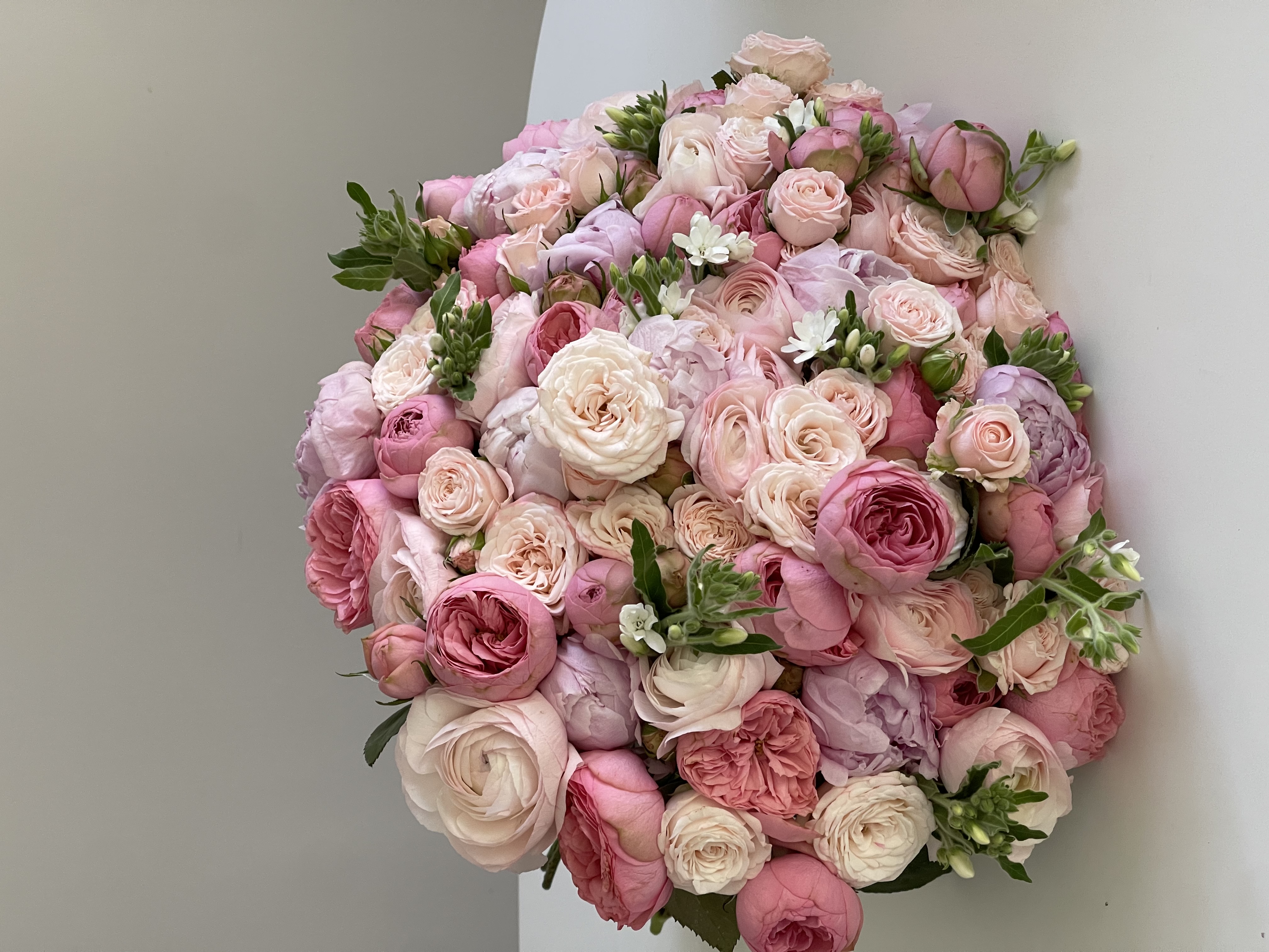 Flower Image