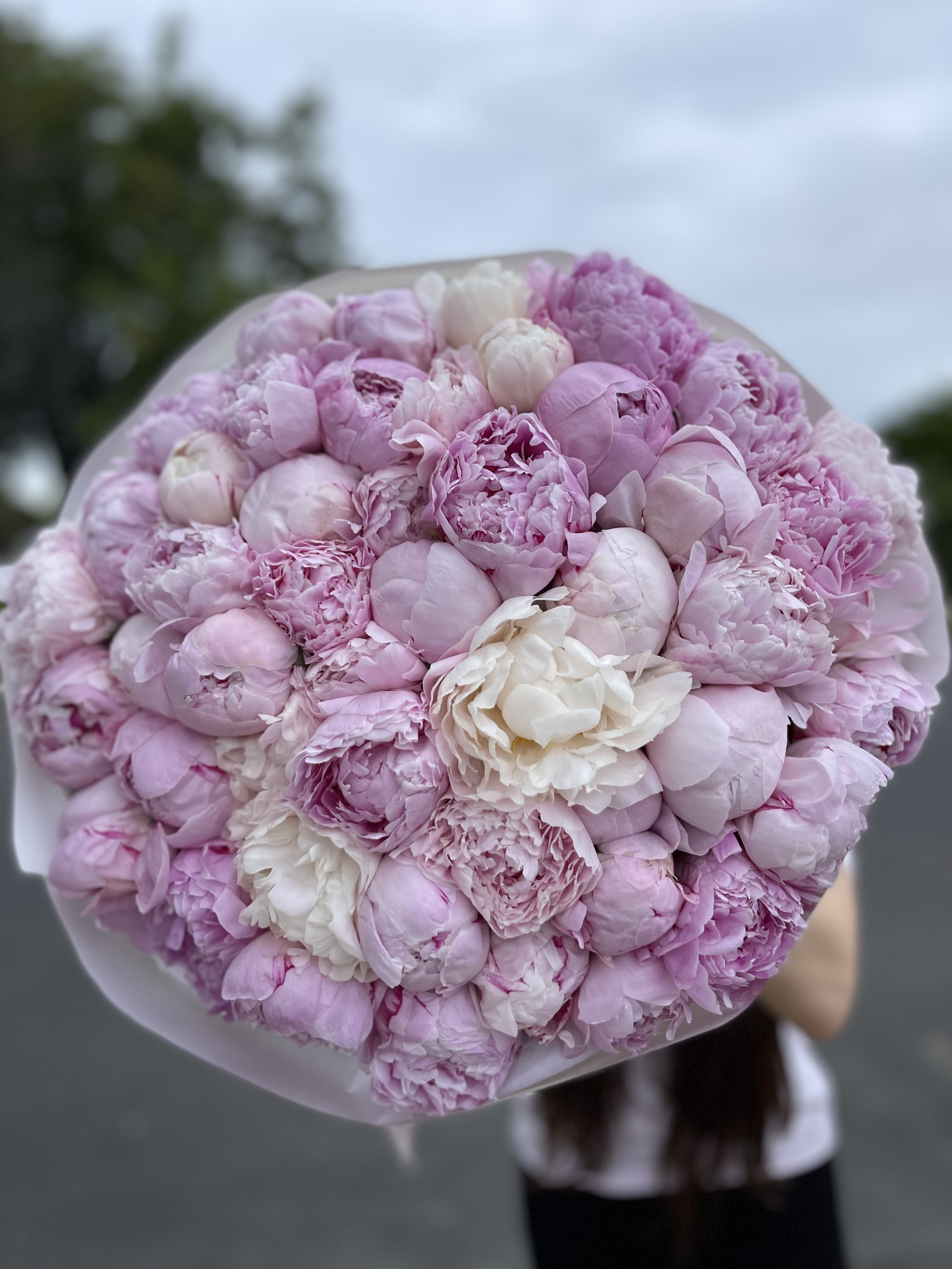 Flower Image