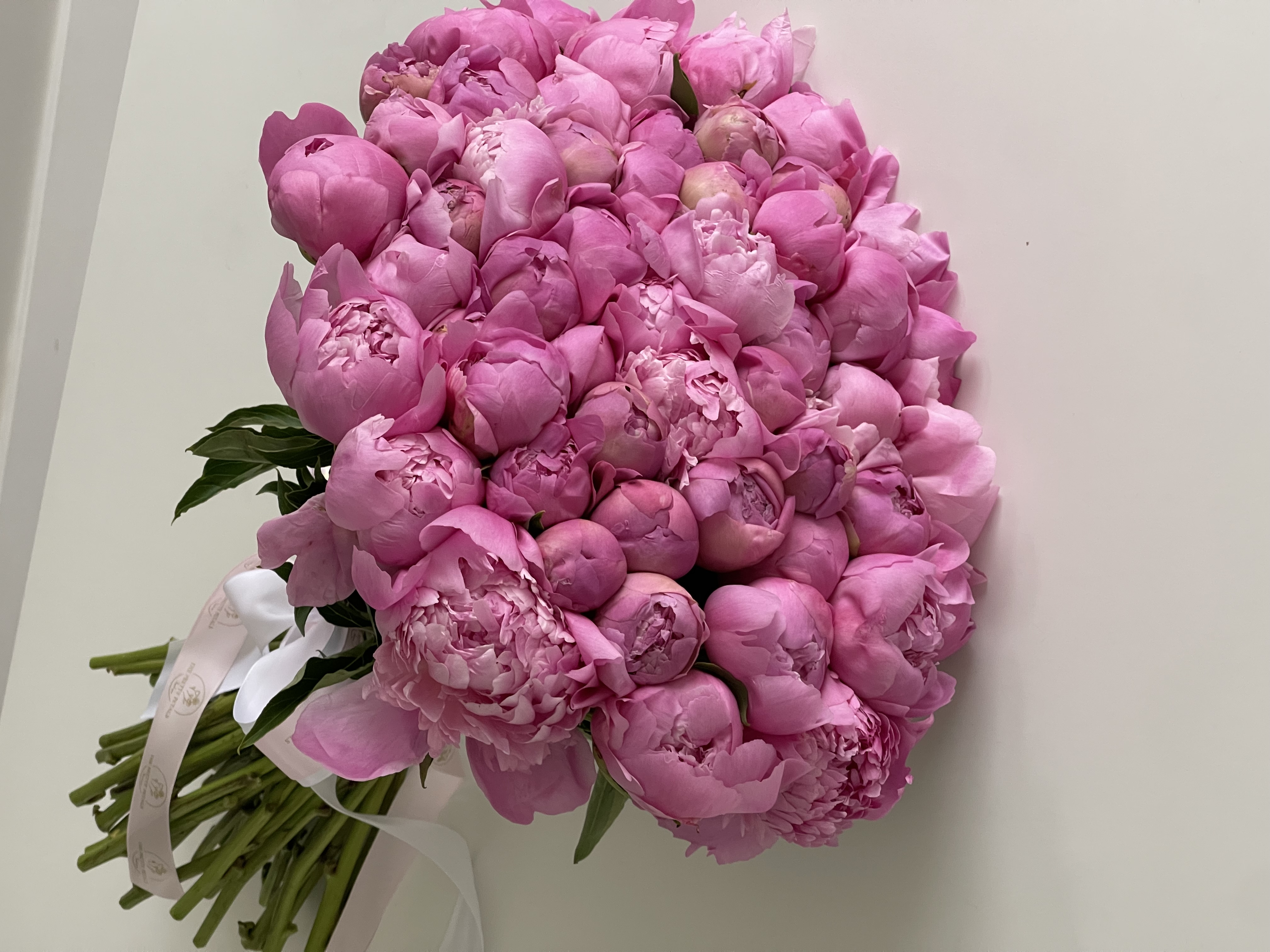 Flower Image